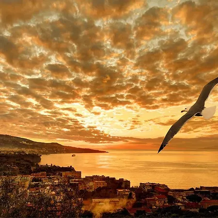 Caruso 1 By Villasandco Rentalsorrento 아파트 *