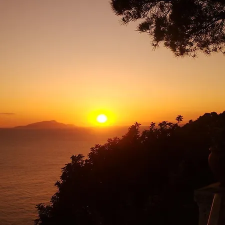 Caruso 1 By Villasandco Rentalsorrento 아파트 소렌토